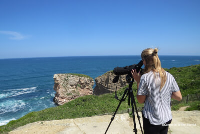 centre de la mer biarritz