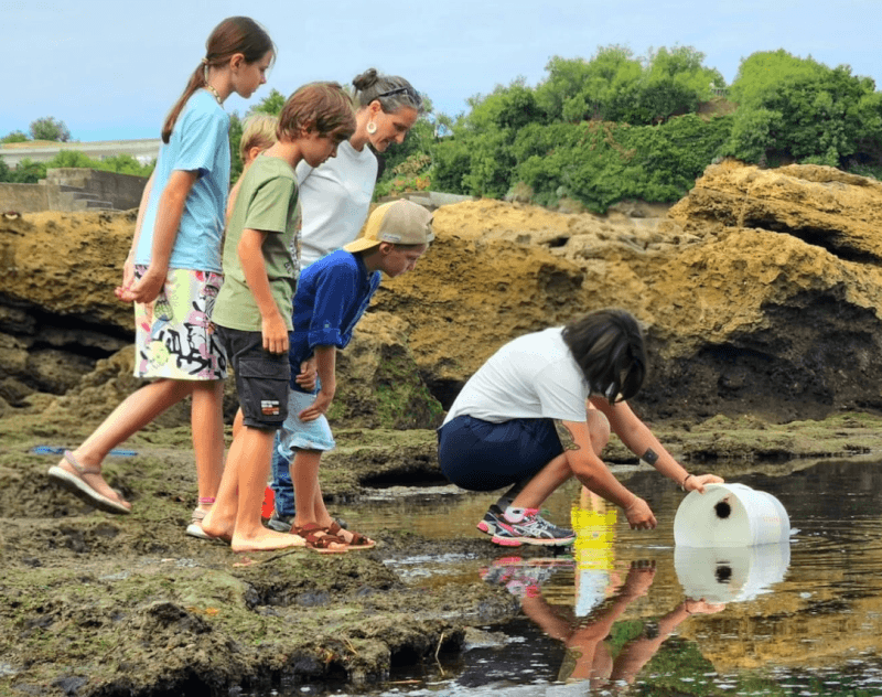Animations gratuites - Juillet 